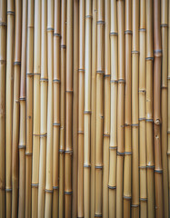 Fototapeta premium Bamboo structure detail natural environment texture background vertical viewpoint sustainable concept