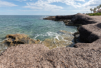 Accumulation of posidonia from the Mediterranean Sea on the coast of La Manga in Spain