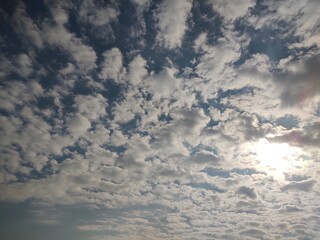 東京のそら(24.11.14)
