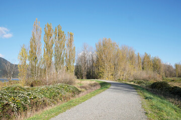 Island 22 Regional Park along Fraser River during a fall season in Chilliwack, British Columbia, Canada