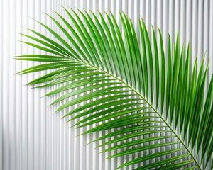 Fototapeta premium Green palm with reeded glass. Ribbed Background. White Reeded Glass. Refreshing gradient background with stylish transparent elements. Blurred sunny template for tree presentation. Plant leaves.