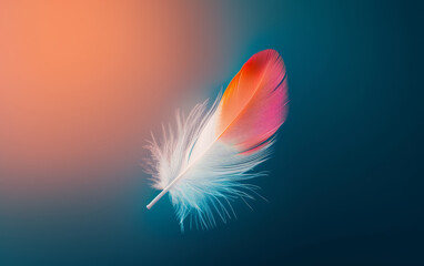 Beautiful colorful feather business background