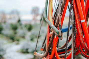 Saws suitable for pruning a Christmas tree in a spruce nursery.Colorful saws set on blurred...