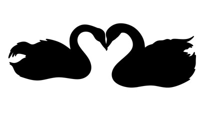 Couple  silhouette of swans on white background, sillhoute of couple swan isolated design vector,couple swan symbol romance and beauty logo illustration 