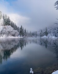 Calm Lake Nestled in a Snowy Valley, With Ice-Covered Trees Lining the Shores and a Low-Hanging Fog Over the Water, Creating a Serene Winter Scene Under a Soft Gray Sky