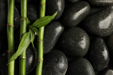 Bamboo stems and green leaves on spa stones, top view
