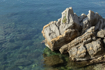 Coastal rock formation in clear, calm blue-green water, with visible textured seabed and rugged, layered gray and beige rocks. Budva, Montenegro. High quality photo