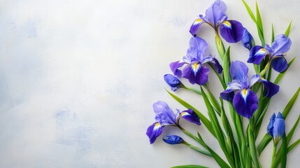Purple and blue iris flowers with green leaves, arranged against a soft, light background for a fresh look