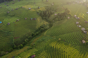 Beautiful aerial view of rice terraces at sunrise in during the rainy season at Ban Pa Pong Piang, Chiang Mai, Thailand.