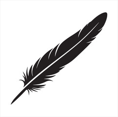 Obraz premium feather isolated on white background