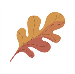 leaf isolated on white background