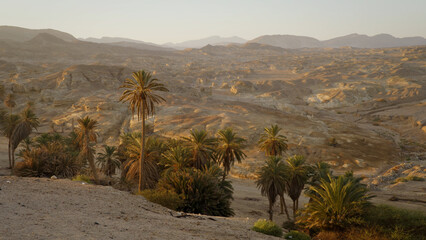 Cinematic view of Saudi Arabian desert with hills and palm trees - wide shot