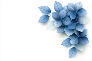 A blue flower with white background