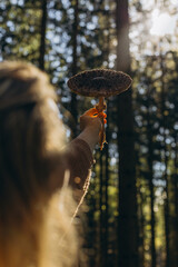 Young woman holding a mushroom up toward the sunlight in her hand,Macrolepiota procera mushrooms