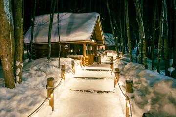 Wooden house with a path in winter forest at night.