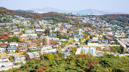 Autumn ginkgo yellow leaves