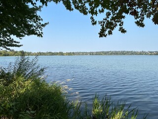 lake and trees