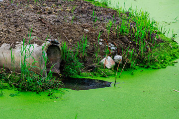 A green pond with a pipe coming out of it, wastewater and wetland
