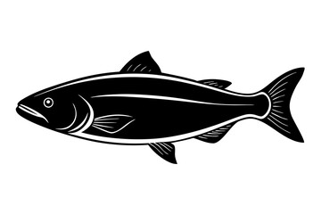 fish on a white background
