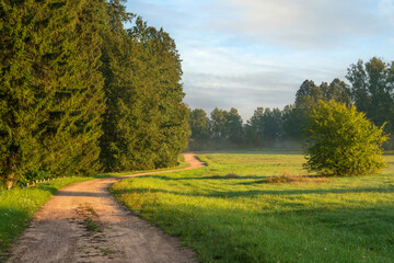 The country road to the Mikhailovskoye estate along the Festive glade on the territory of the Pushkin Museum-Reserve on a sunny summer day, Pushkinskiye Gory, Pskov region, Russia