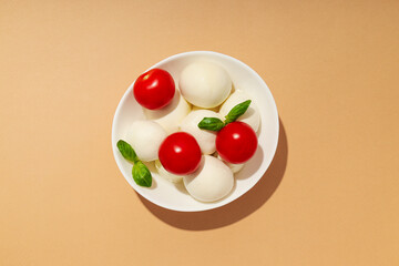 Mozzarella cheese, concept of tasty and delicious dairy products
