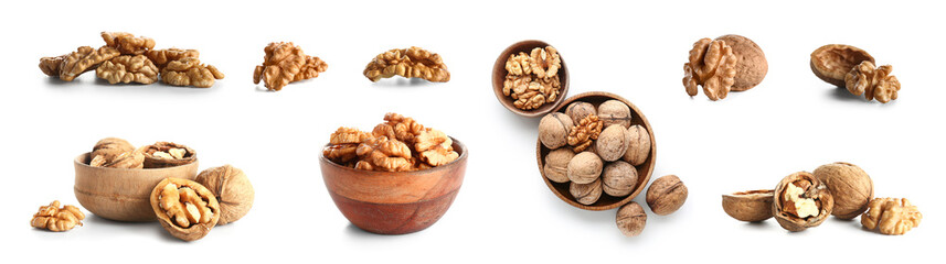 Set of tasty walnuts on white background