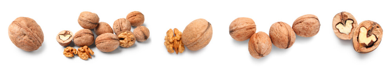 Set of tasty walnuts on white background