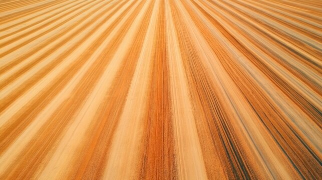 Captivating image showcasing the harmonious coexistence of wind and solar energy technologies