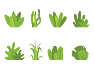 Set of shrub bush shrubbery, garden plant element