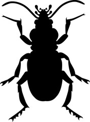 Bettle silhouette vector art black and white