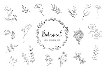シンプルな植物の線画イラストセット　ベクター