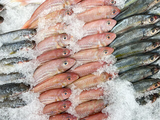 Top view group of raw fresh fish on the tray with ice at the food store