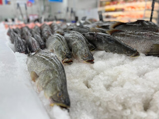 Selective focus on the fresh raw fish on the tray with ice at the food store