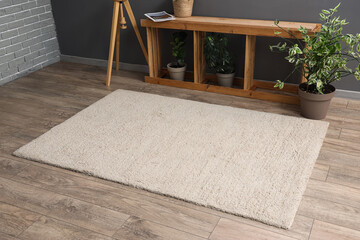 Interior of living room with soft carpet, shelf unit and plants