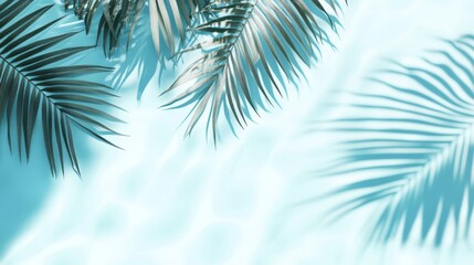 Soft shadows of palm leaves cast on a rippling pool surface, creating a serene summer vibe with blue and white hues, perfect for a refreshing banner with copy space.