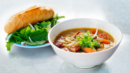 Bowl of tasty Bo Kho. Bowl of delicious Vietnamese stewed beef noodle - Bo Kho. Read with stewed beef. Vietnam food