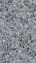 Polished Granite with Specks of White, Gray, and Black for a Sleek Natural Surface