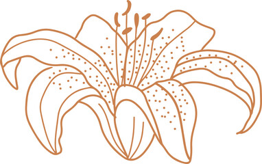 Golden Simple Wild Flower Doodle lIne Art