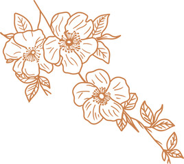 Golden Simple Wild Flower Doodle lIne Art