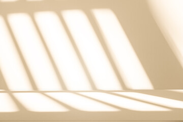 Wall interior background, studio and backdrops show products. with leaf shadow from window color green and white. background for text insertion and presentation of product