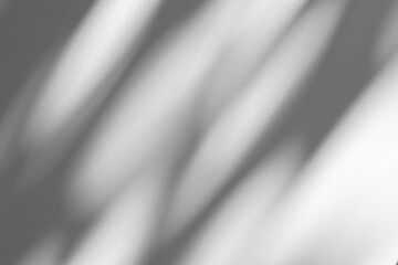 Wall interior background, studio and backdrops show products.with shadow from window color white and grey. background for text insertion and presentation product