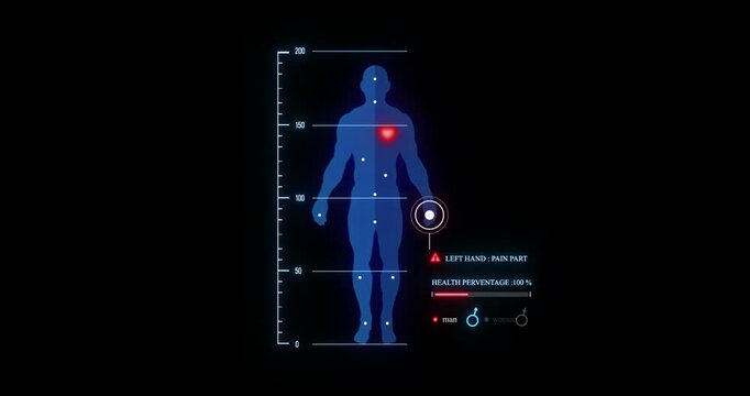 Human Body Medical Scan Visualization