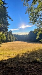 Obraz premium A serene landscape featuring a sunlit field surrounded by trees under a clear blue sky.