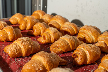 Croissants or bagels with jam on the production floor. Mini bakery, sweet pastries. High quality photo