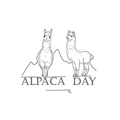 Alpaca Day. Alpaca sketch on white background