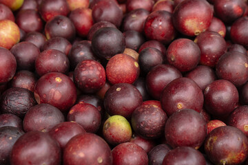CAMU CAMU, AMAZONIAN FRUIT THAT GROWS ON THE BANKS OF RIVERS, DELICIOUS RED FRUIT KNOWN AS CAMU CAMU, DELICIOUS IN ICE CREAMS AND DESSERTS
