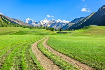 Country gravel road and green grassland with snow mountains nature landscape in summer. Road trip.