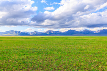 Beautiful grassland and mountain nature landscape in Xinjiang. Green meadow and mountain with sky cloud background.