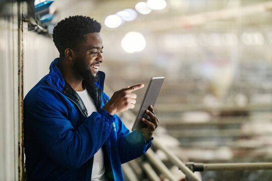 Side view of black farmer holding tablet and pointing at it at stable.