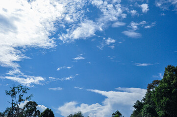 sky and clouds in the forest